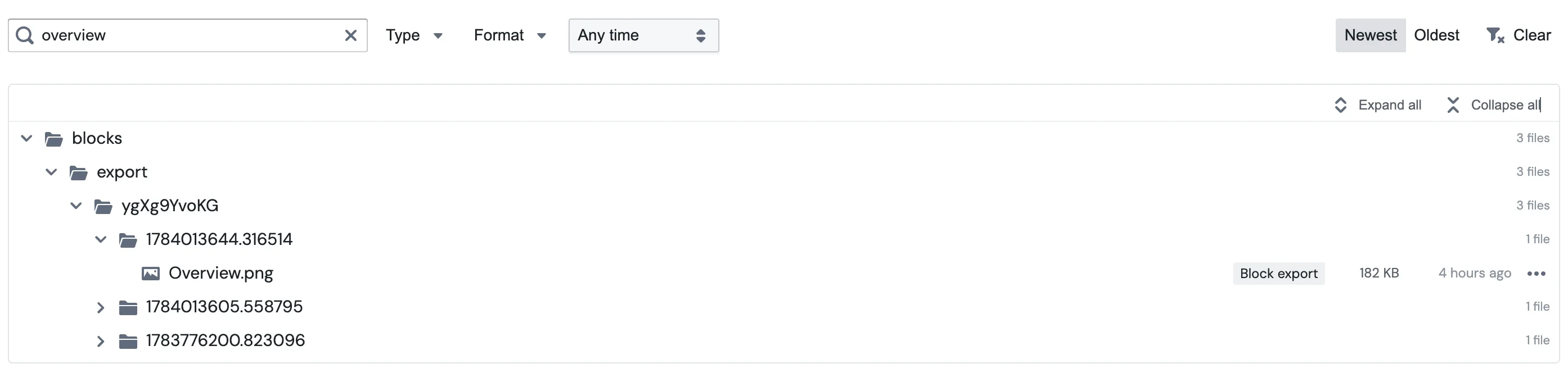 The Files toolbar with a search term entered, showing the Type, Format, and time filters, the Newest/Oldest sort toggle, a Clear button, and the tree narrowed down to the matching files